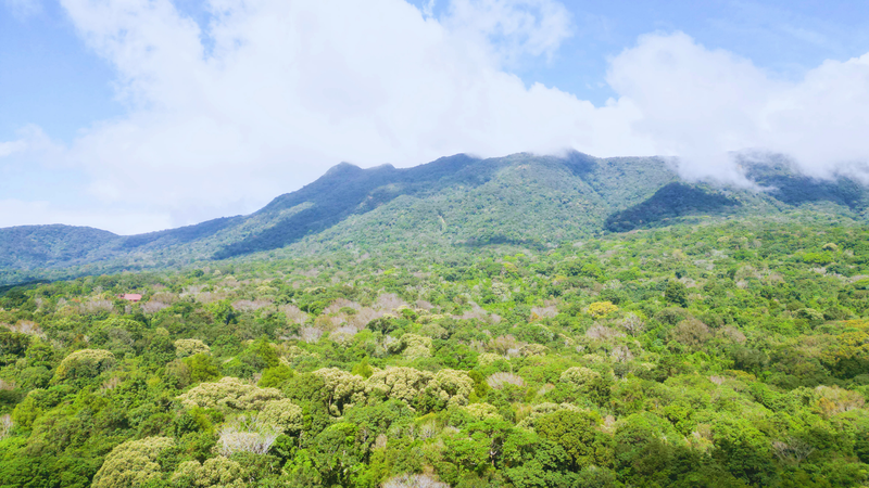 https://files.locallife.asia/images/800/1764144742307-Thiết kế chưa có tên (1).png